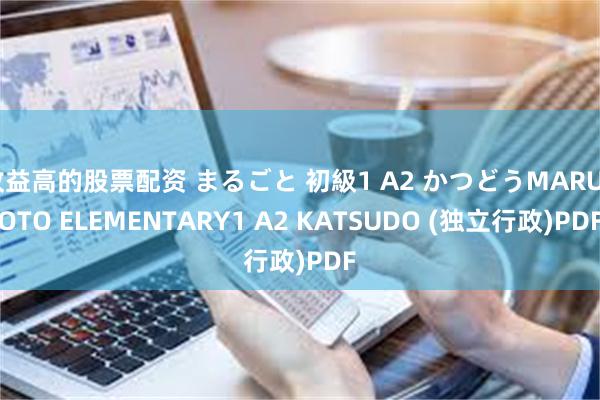 收益高的股票配资 まるごと 初級1 A2 かつどうMARUGOTO ELEMENTARY1 A2 KATSUDO (独立行政)PDF