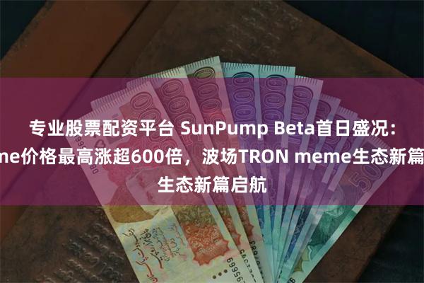 专业股票配资平台 SunPump Beta首日盛况：meme价格最高涨超600倍，波场TRON meme生态新篇启航